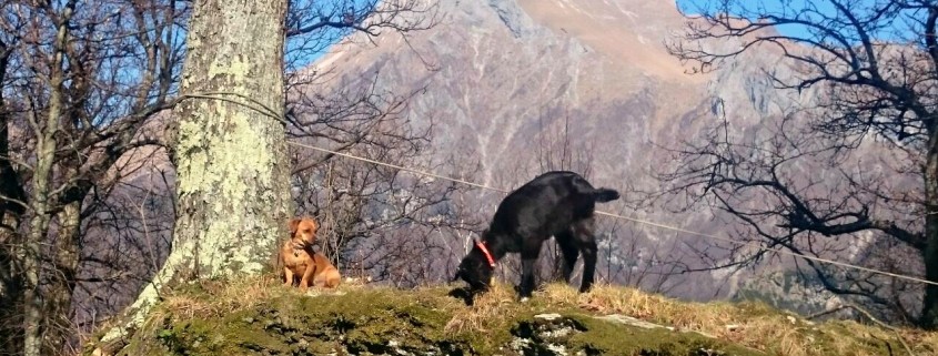 CASAGIORGINI,ALPIAPUANE,RIFUGIINMONTAGNA,PARCOAPUANE,STAZZEMA (11)