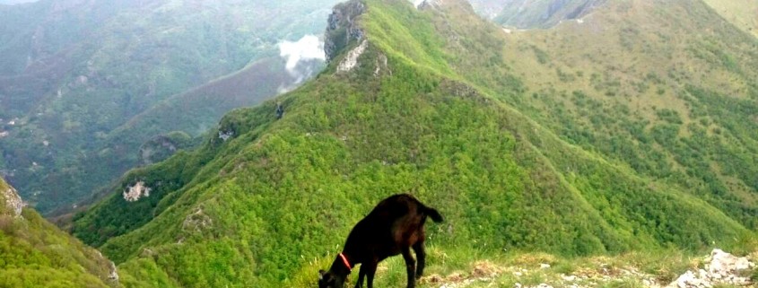 CASAGIORGINI,ALPIAPUANE,RIFUGIINMONTAGNA,PARCOAPUANE,STAZZEMA (20)