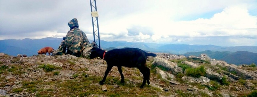 CASAGIORGINI,ALPIAPUANE,RIFUGIINMONTAGNA,PARCOAPUANE,STAZZEMA (21)